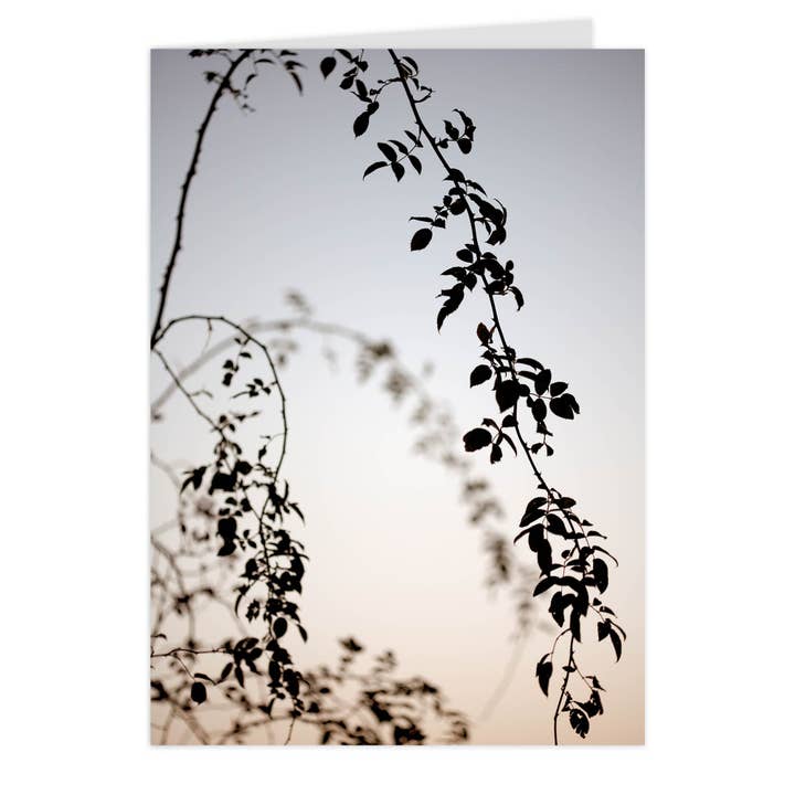 Vikbart "Sista solljuset" för wholesale av paruspaper. nutzfeine papeterie