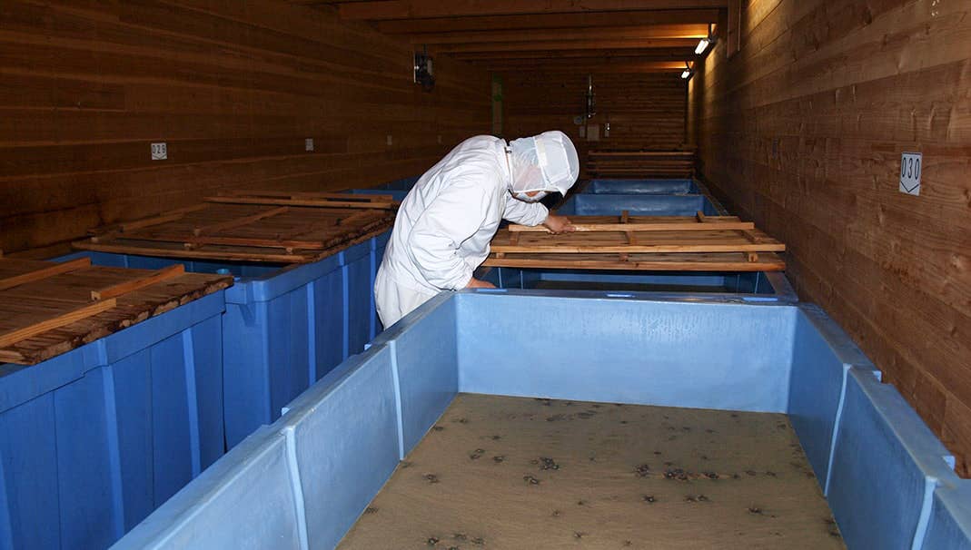 Japan Artisans - Wholesale Vinegar - Tajima-Smoked Vinegar [Konotori Junmai] – 200ml | Japan2