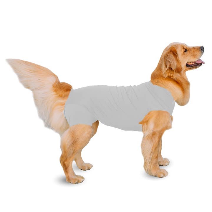 Shed Defender - Wholesale Pet Bodysuit - Cat/Dog - Shed Defender Post Surgery Recovery Suit for Dogs9
