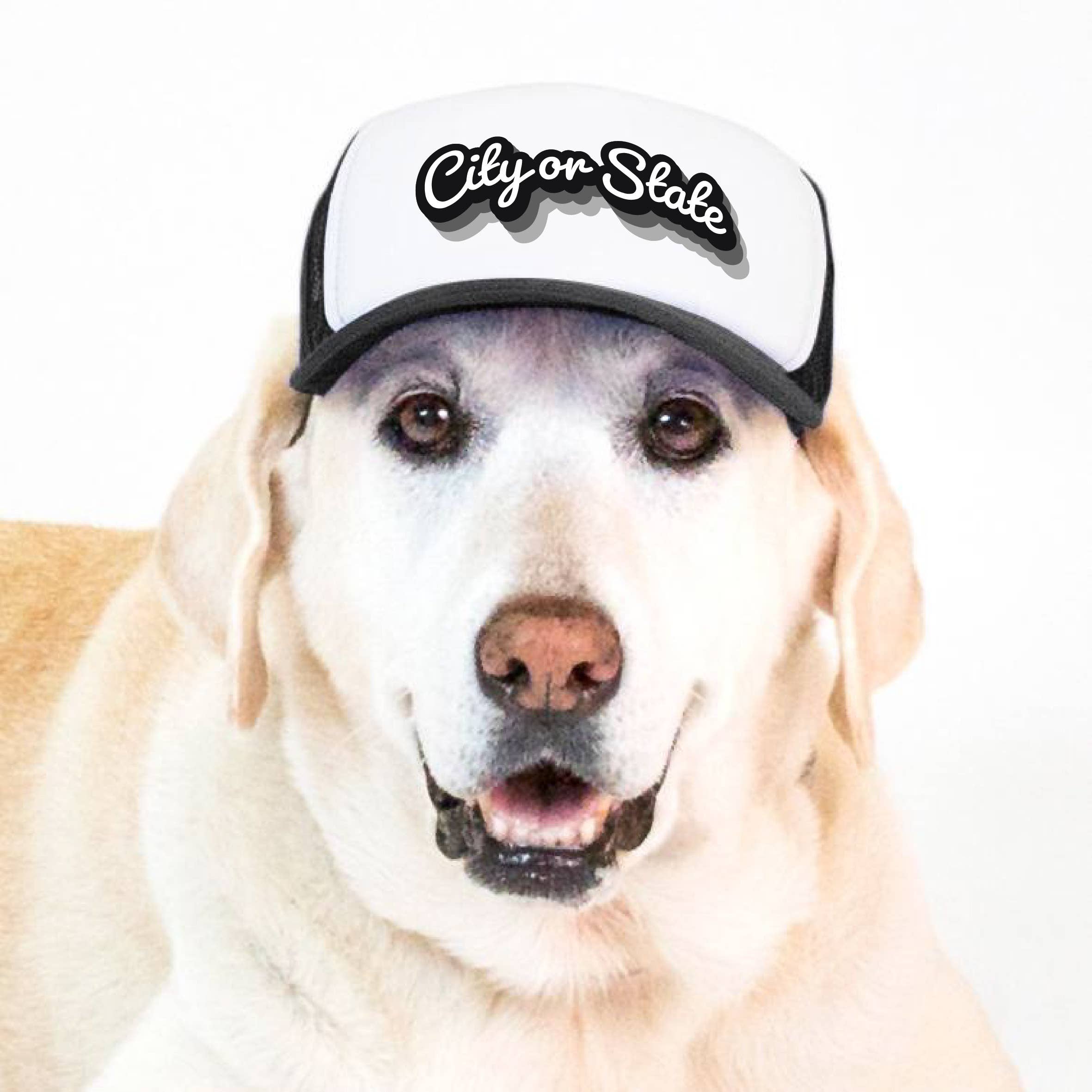 PupLid - Wholesale Pet Hat - Dog - Custom Retro Text | Trucker Hat for Dogs3