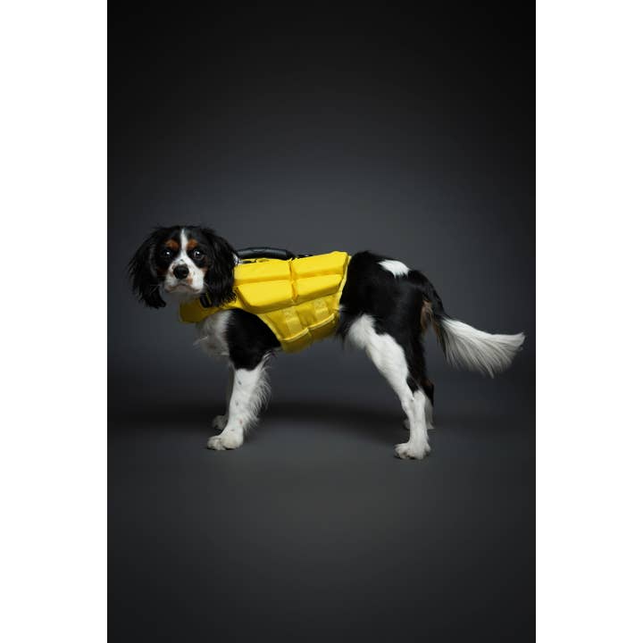 NOAH AND PAW LLC – Großhandel Haustierjacke – Hund – Human Standards Hundeschwimmweste mit 4-facher Schaumpolsterung für maximale Auftriebskraft – Gelb15