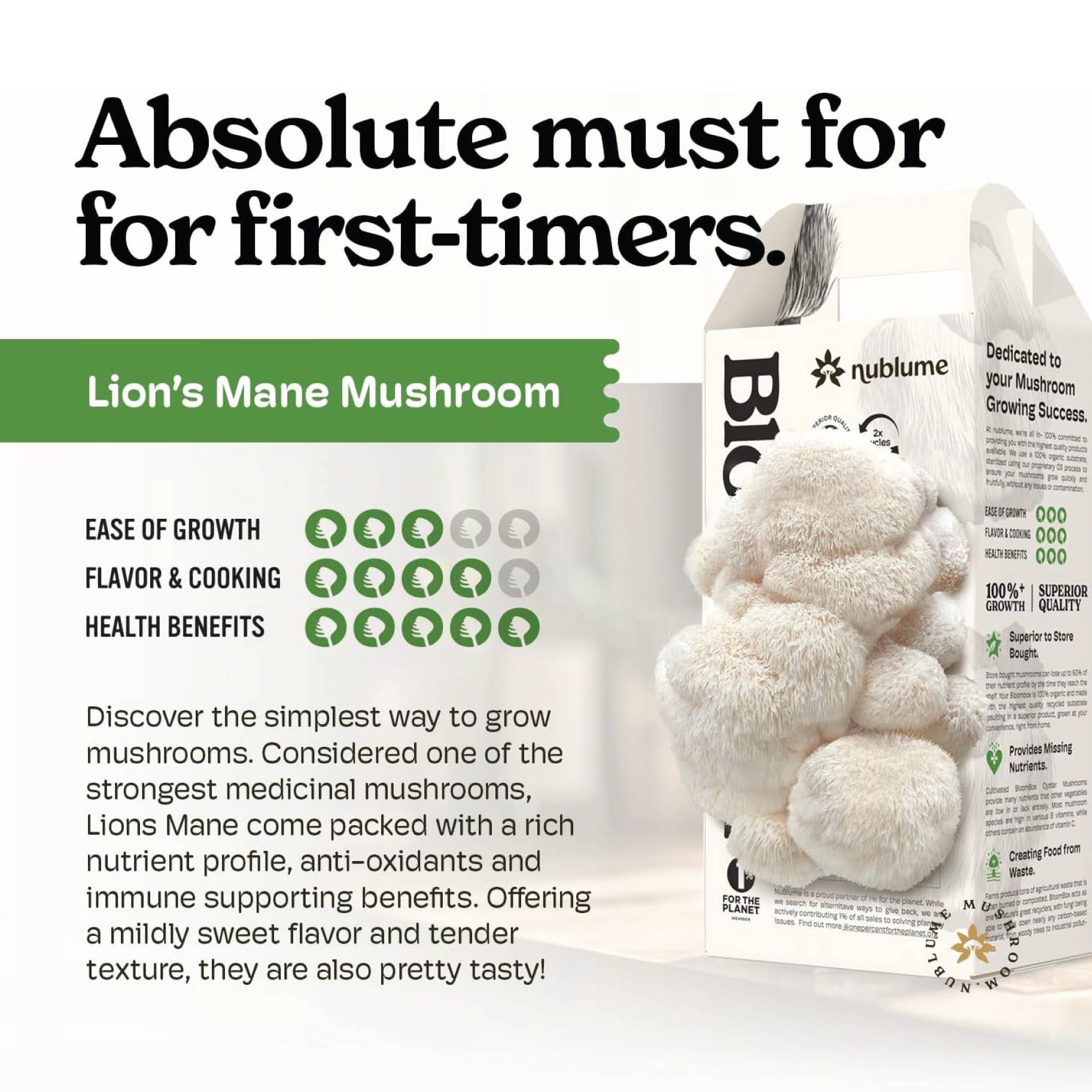 Nublume Mushroom - Wholesale Planter Box - Lion’s Mane Mushroom Grow Kit | DIY Indoor Garden | Gift6