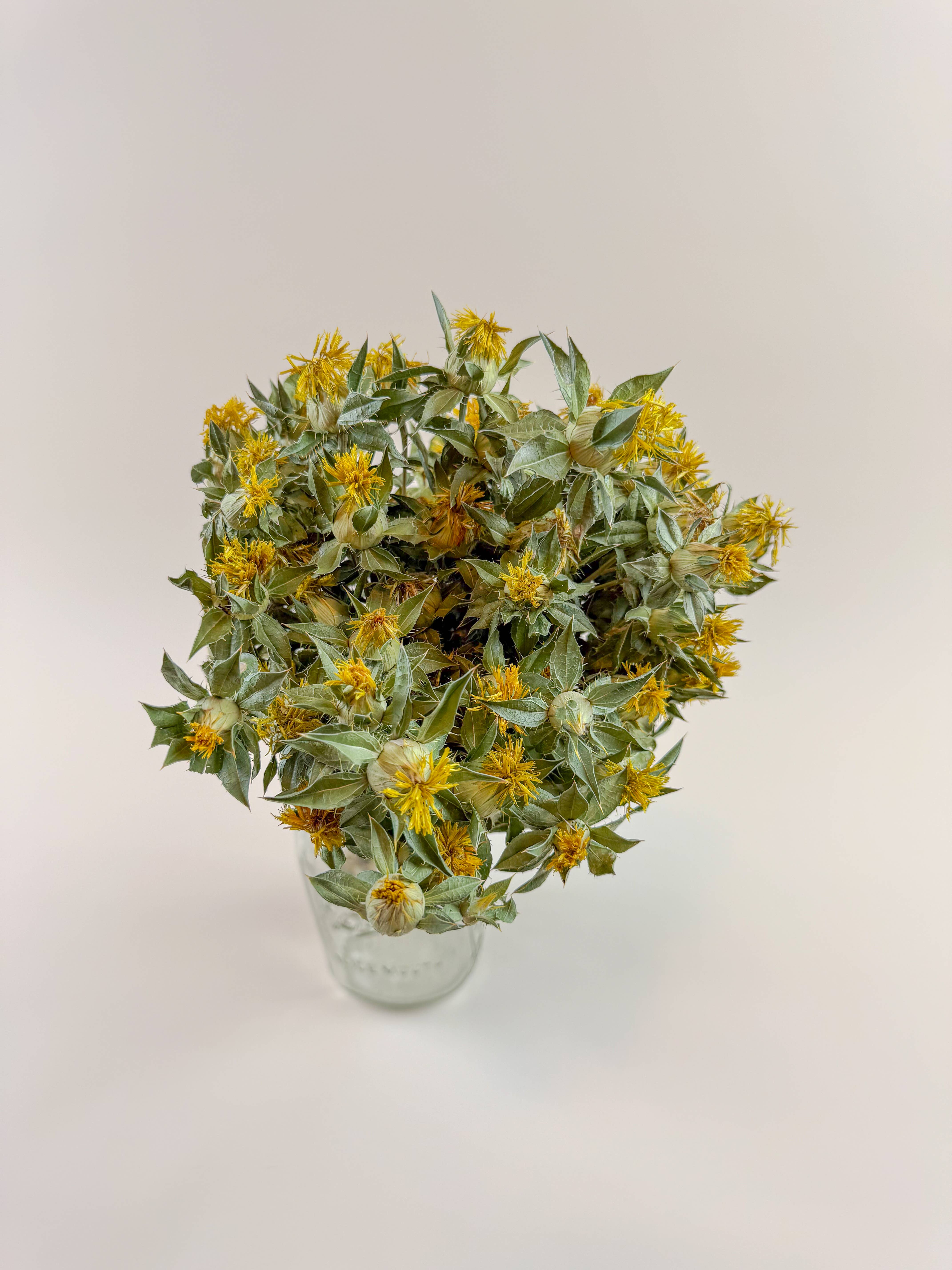 Lovejoy Farms Premium Dried Flowers – wholesale Dried/pressed flowers – Safflower - Yellow Naturally Dried Flowers 2