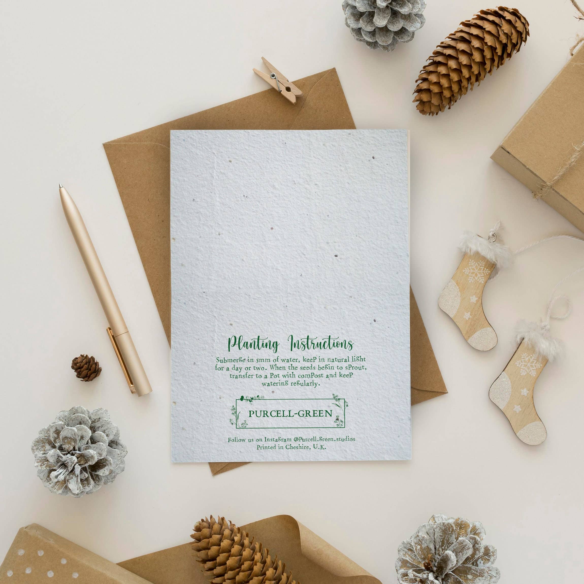 Purcell-Green Studios – wholesale Christmas card – Snow Globe Plantable Christmas Card – Eco-Friendly1