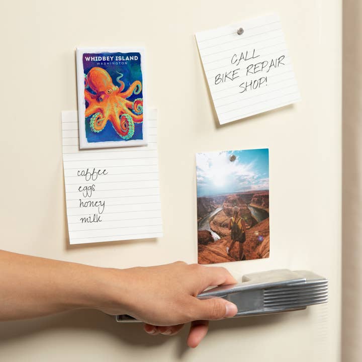 Lantern Press - Wholesale Magnet - MAGNET Whidbey Island, Washington, Octopus1