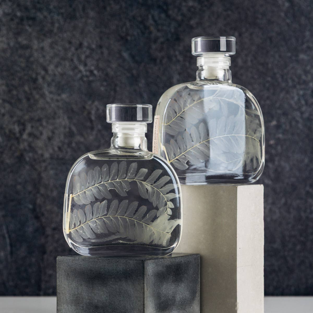 Theophile Berthon - Wholesale Live Plant - The Herbarium Capsule - White Leather Fern - Submerged Plant4