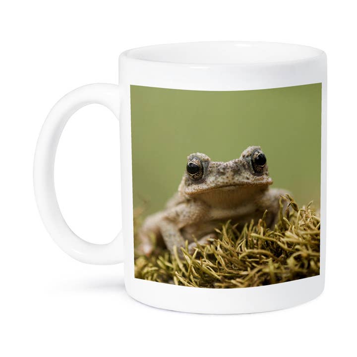 3dRose - Wholesale Coffee Mug - 3dRose, Red-spotted Toad young, Hill Country, TX - NA02 RNU0760 - Rolf Nussbaumer, Mug8