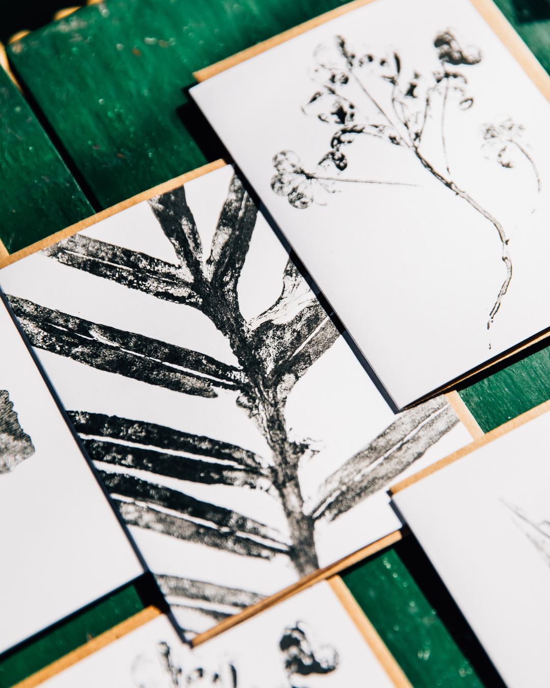 Reclaimed Gardens - Wholesale Stationery/Notecard Set - Botanical Monoprint Card Collection3