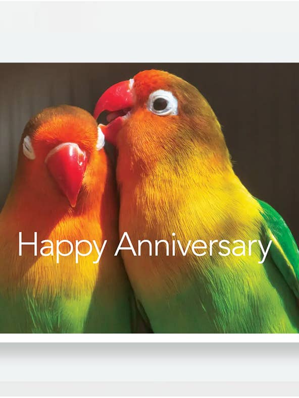 Love Birds for wholesale by Tribal Message