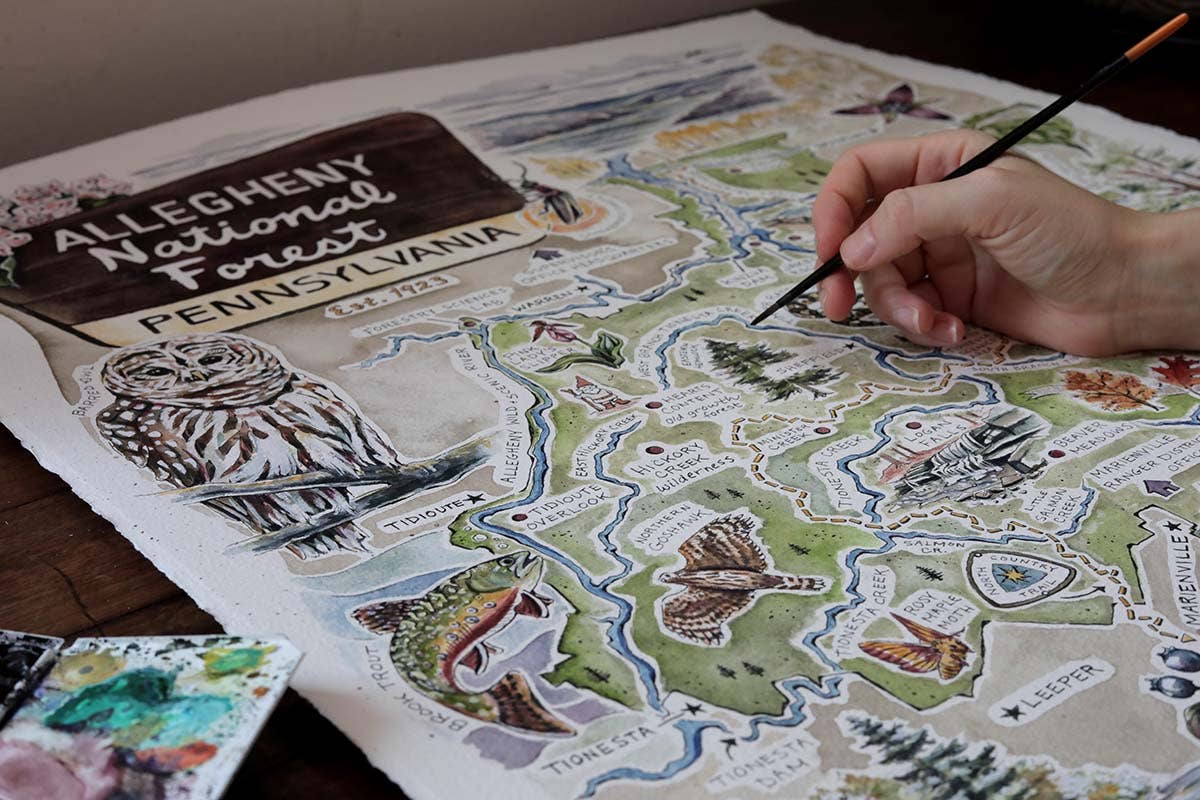 Rosalie Haizlett Illustration – wholesale Map – Allegheny National Forest Illustrated Map3