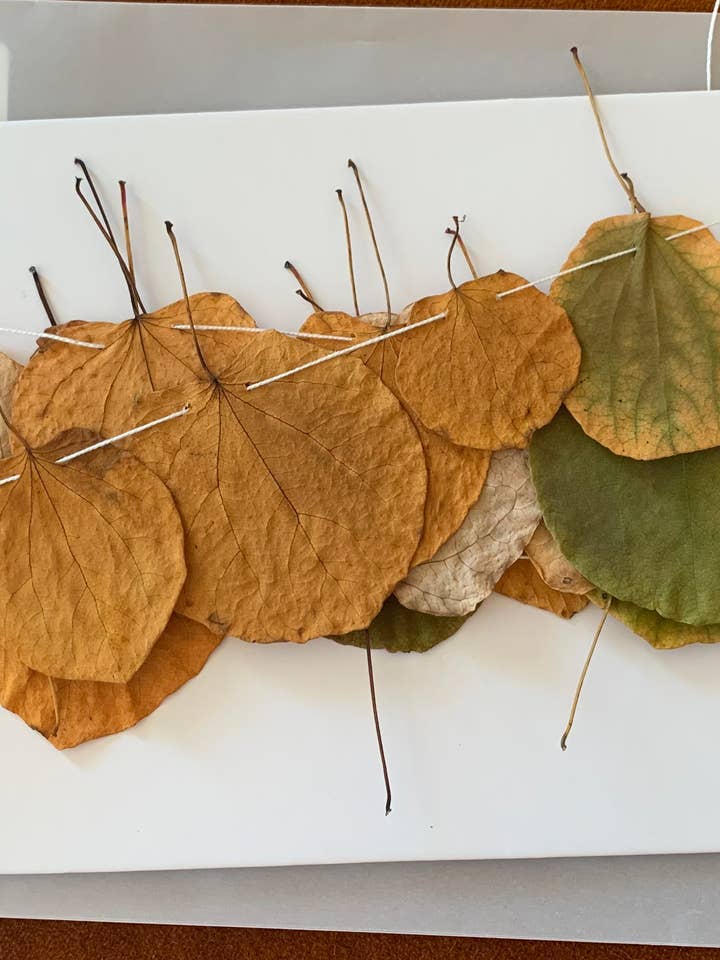 Dried Katsura Leaf Garland - Natural Autumn Decor for wholesale by Twig and Snip