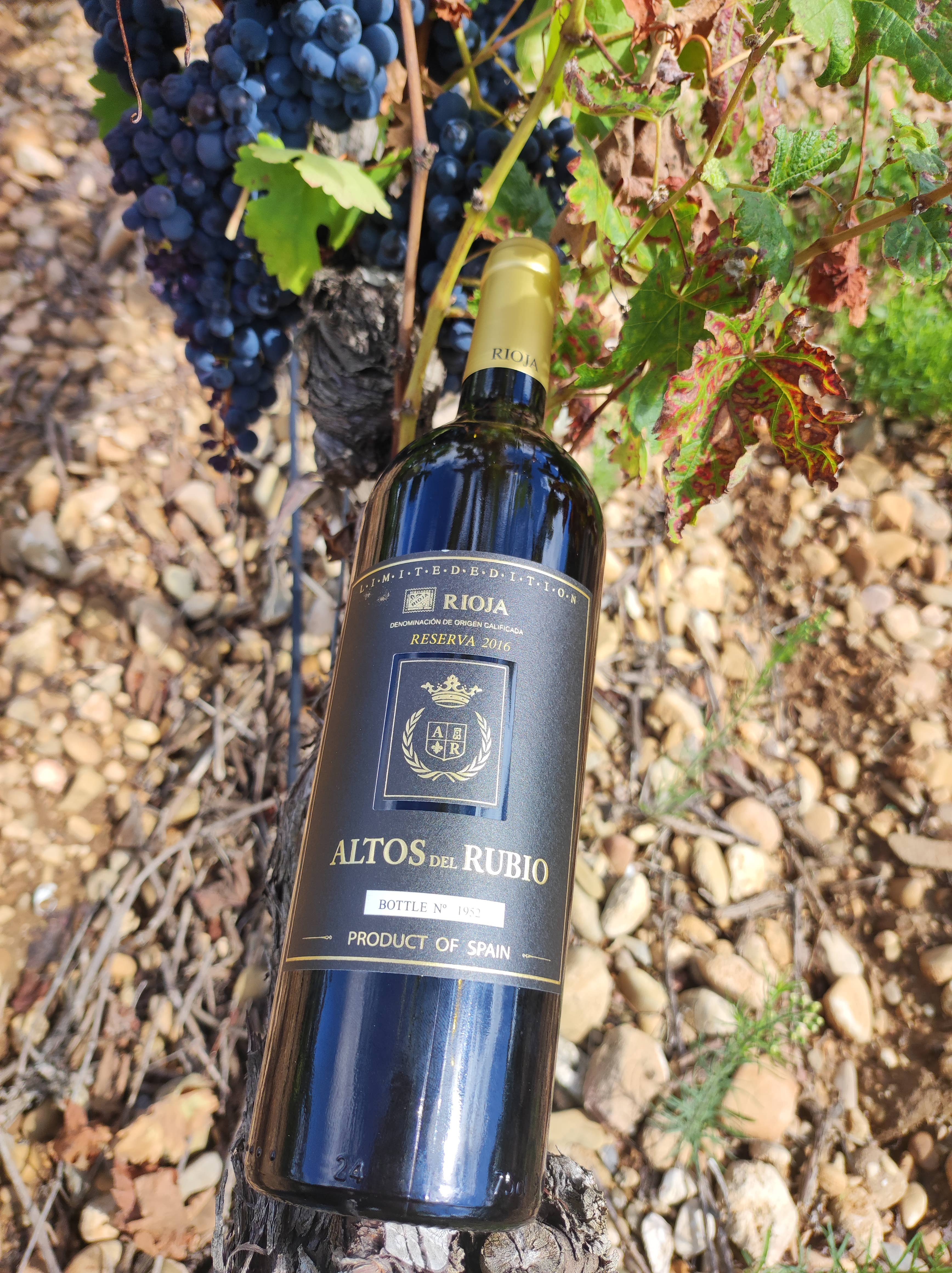 Viñedos y Bodegas Lyng - Wholesale Red Wine - D.O.Ca. Reserva red wine Rioja Altos del Rubio4