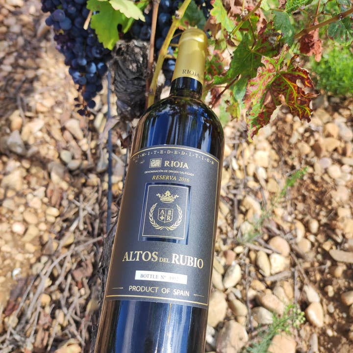 Viñedos y Bodegas Lyng - Wholesale Red Wine - D.O.Ca. Reserva red wine Rioja Altos del Rubio4