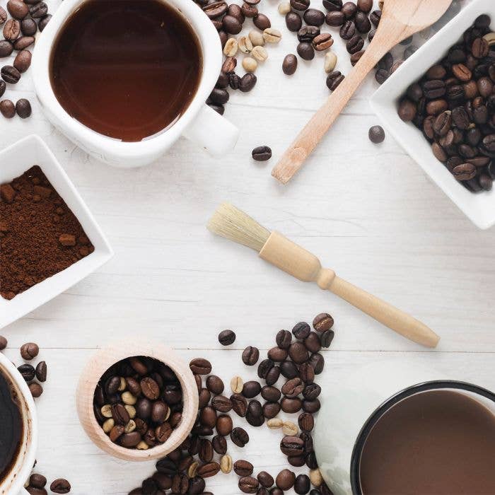 HIC - Harold Import Co. - Wholesale Kitchen Tool/Gadget - Fino Coffee Grinder Cleaner1