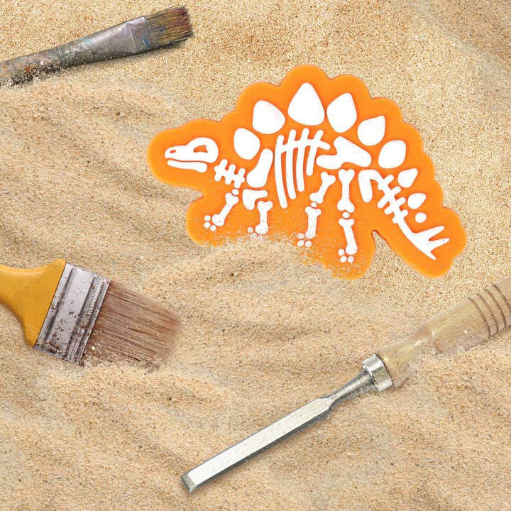 LuxCups Creative - Wholesale Magnet - Stego Skeleton Magnet5