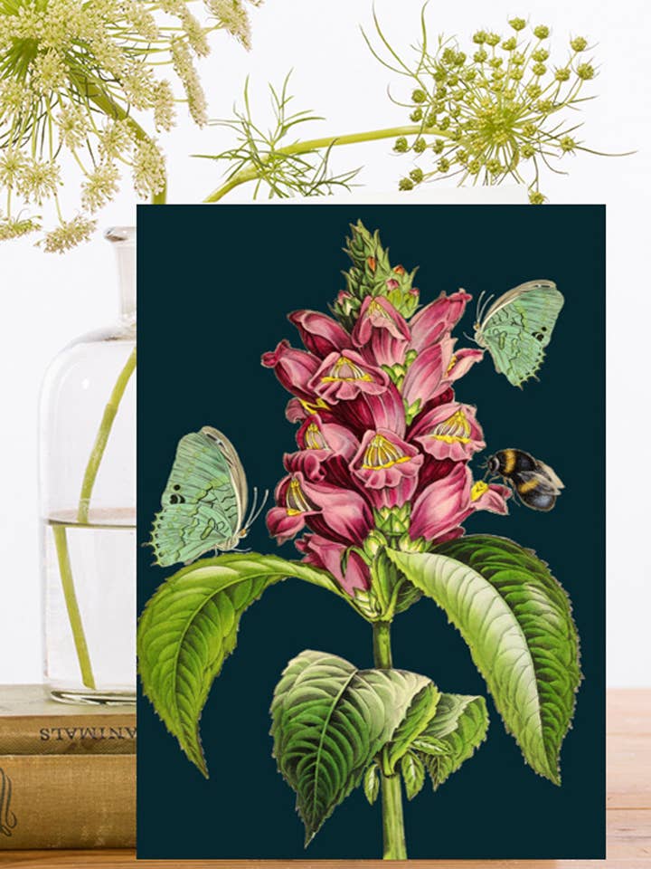 RS122P ~ Blank Midnight Botanical Greeting Card for wholesale by Madame Treacle