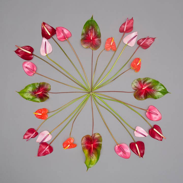 Spindly Flamingo for wholesale by Lola Pilar Hawaii