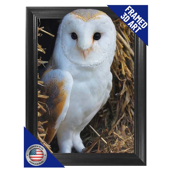 Lentics - Wholesale Poster - White Barn Owl Framed Poster Print 3D Lenticular Wall Art