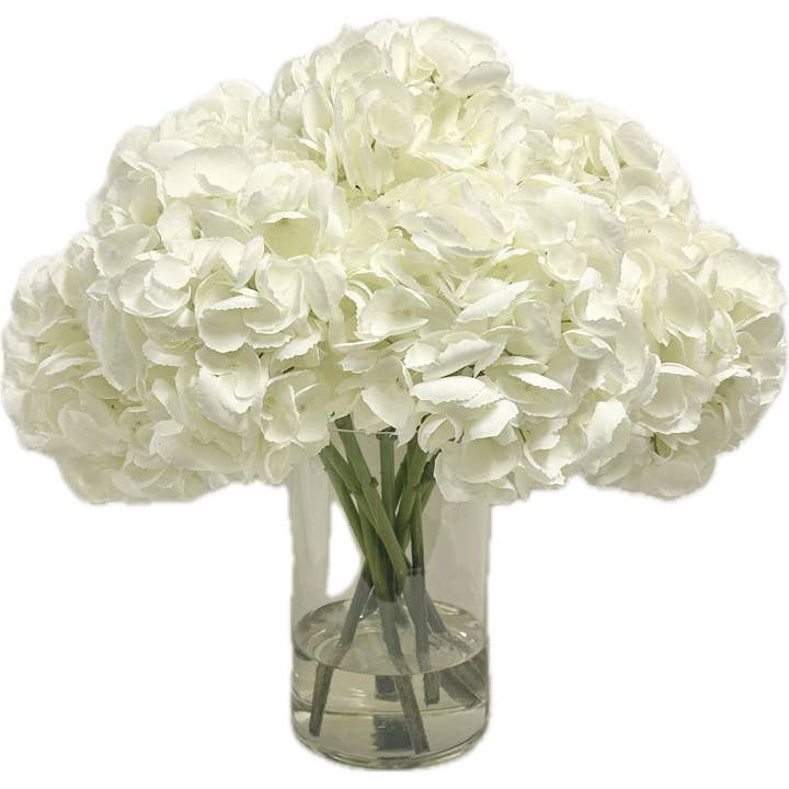 Hydrangea x10 in 6" Cylinder-White (WM2) for wholesale by Moman Sales, Inc.
