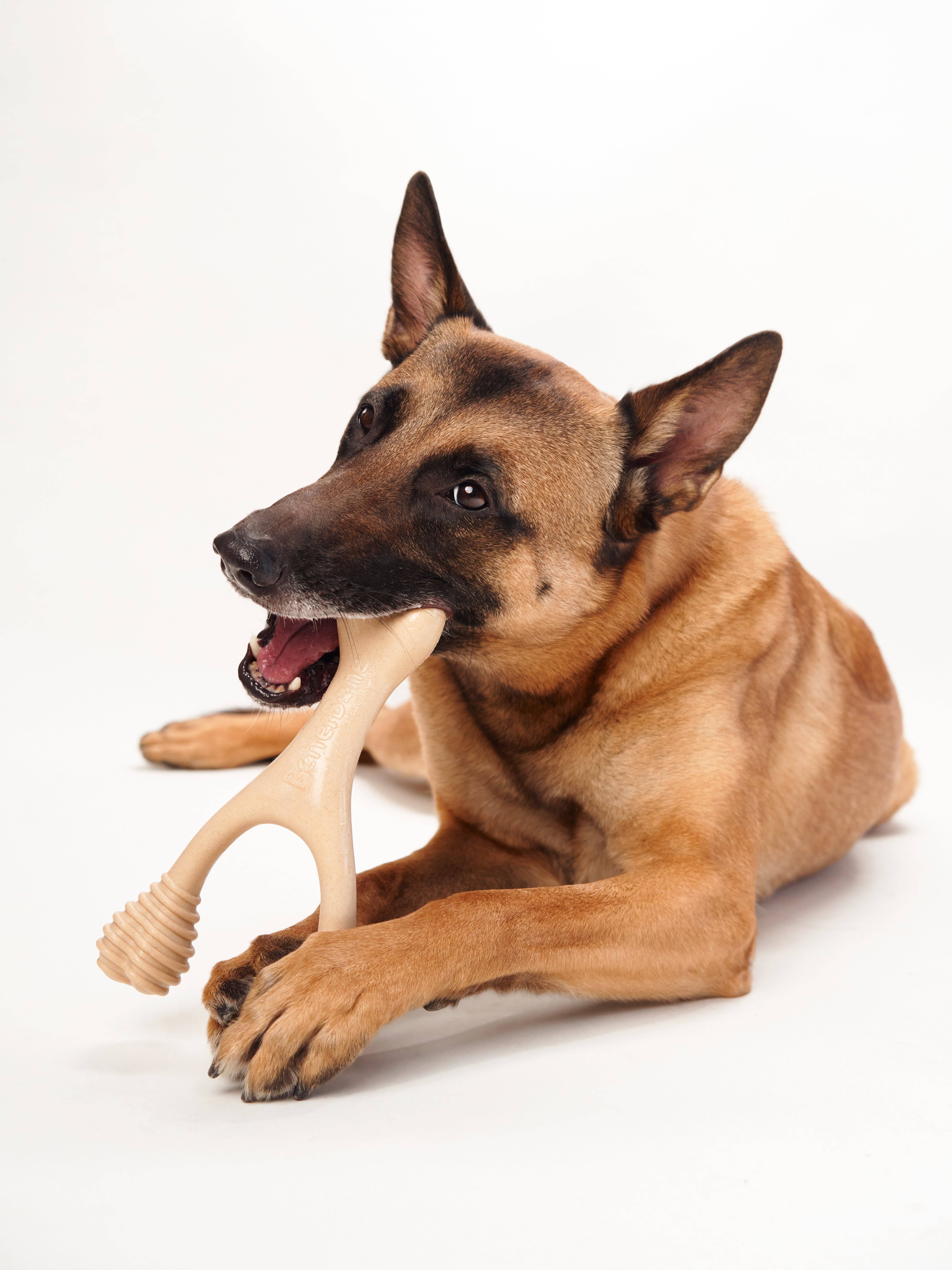 BetterBone Natural Dog Chews - Wholesale Pet Chew Toy - Dog - BetterBone HARD -Durable, All-Natural, No Nylon, Sustainable8