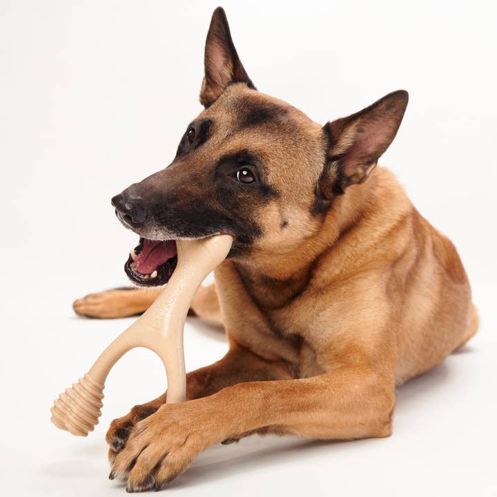 BetterBone Natural Dog Chews - Wholesale Pet Chew Toy - Dog - BetterBone HARD -Durable, All-Natural, No Nylon, Sustainable8