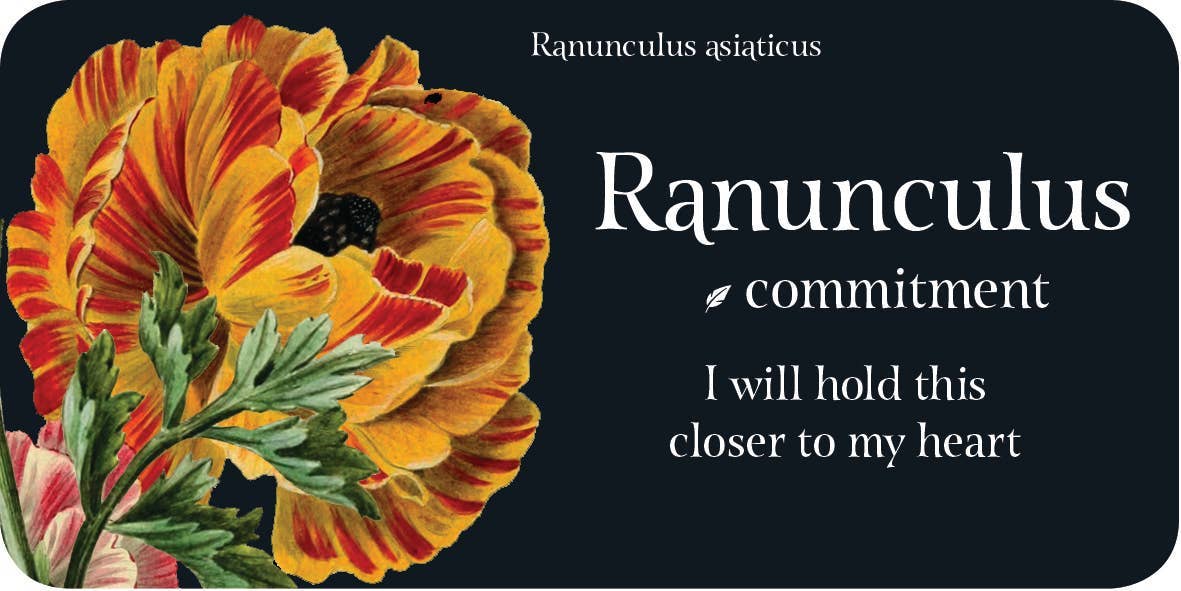 ROCKPOOL PUBLISHING - Wholesale Stationery/notecard set - The Language of Flowers: Mini Inspiration Cards4