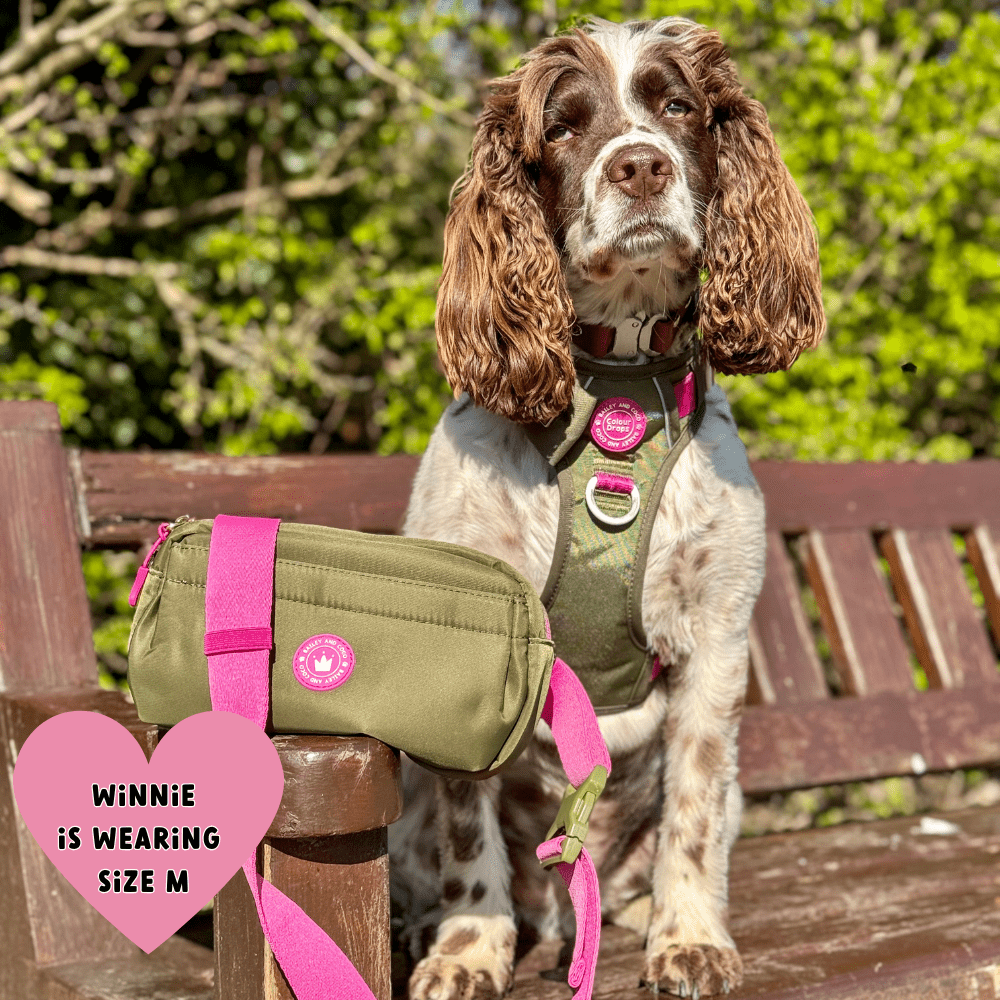 Bailey and Coco - Wholesale Belt Bag - Women's - Magnetic Snap Dog Walking Bum Bag - Olive it Hot12