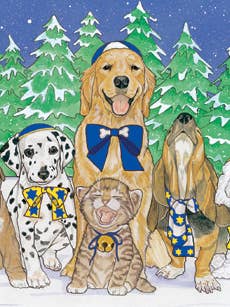 Tarjetas de Janucá para perros y gatos, menorá, paquete de 10 para venta al por mayor de Pipsqueak Productions