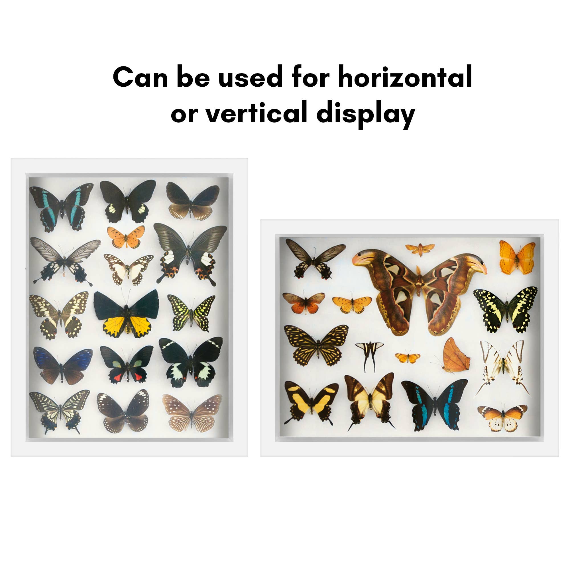 Americanflat - Wholesale Picture Frame - Americanflat Shadow Box Frame with Soft Felt Back23