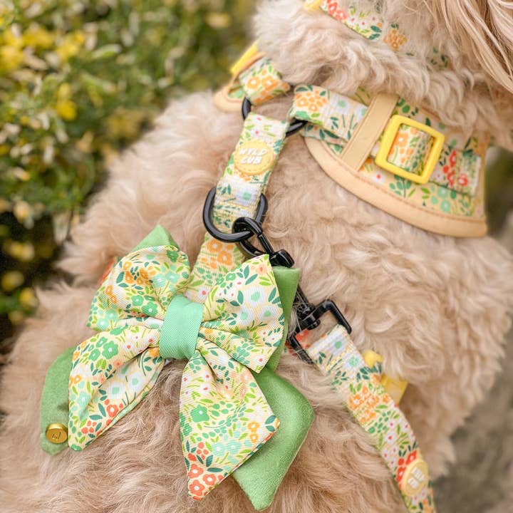 WYLD CUB – wholesale Pet leash – Dog – Dog Lead: Notting Hill Lemongrass17