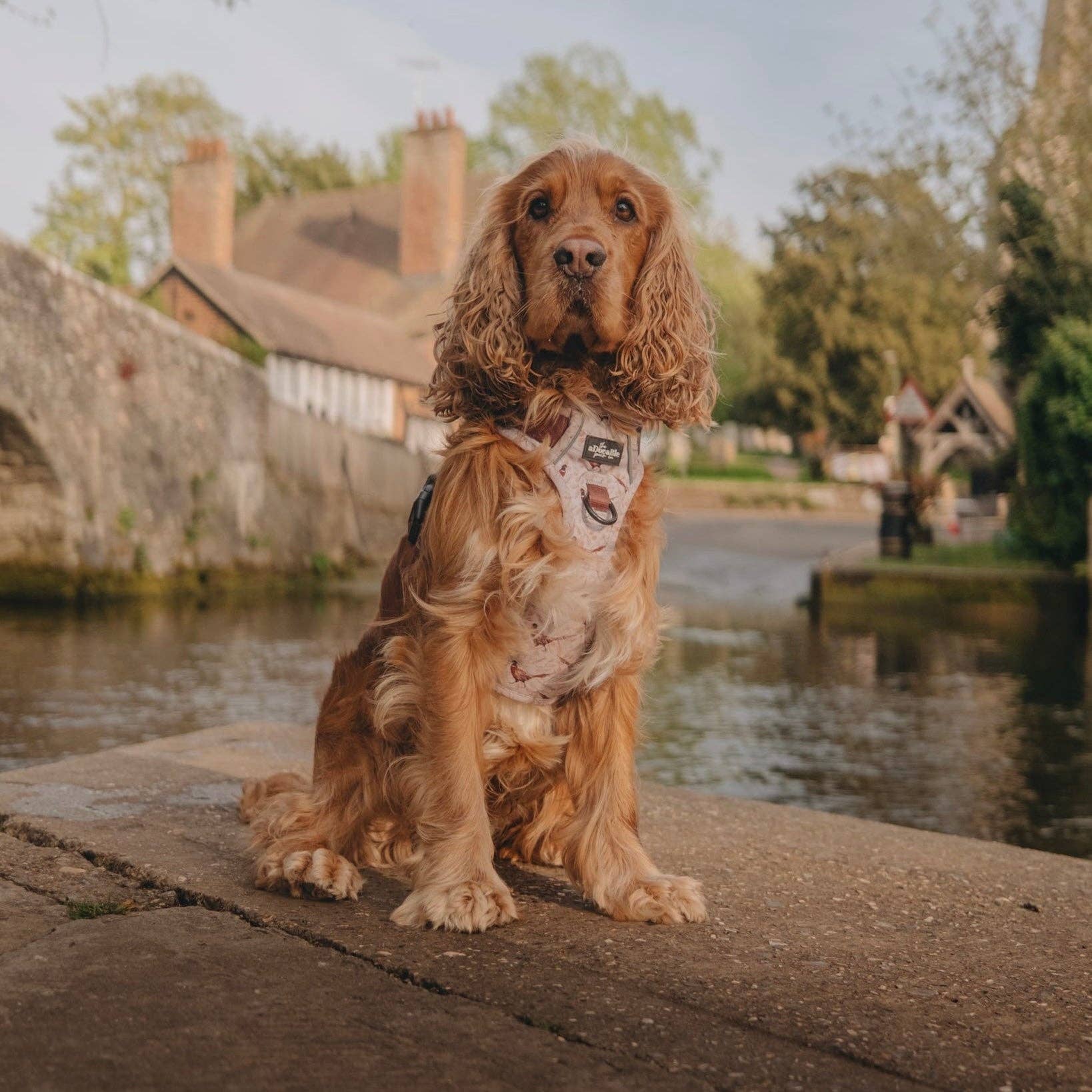 The aDoraBle Pooch Company - Wholesale Tuig voor huisdieren - Hond - Hike & Go™ Harnas - Farmland Fazant12