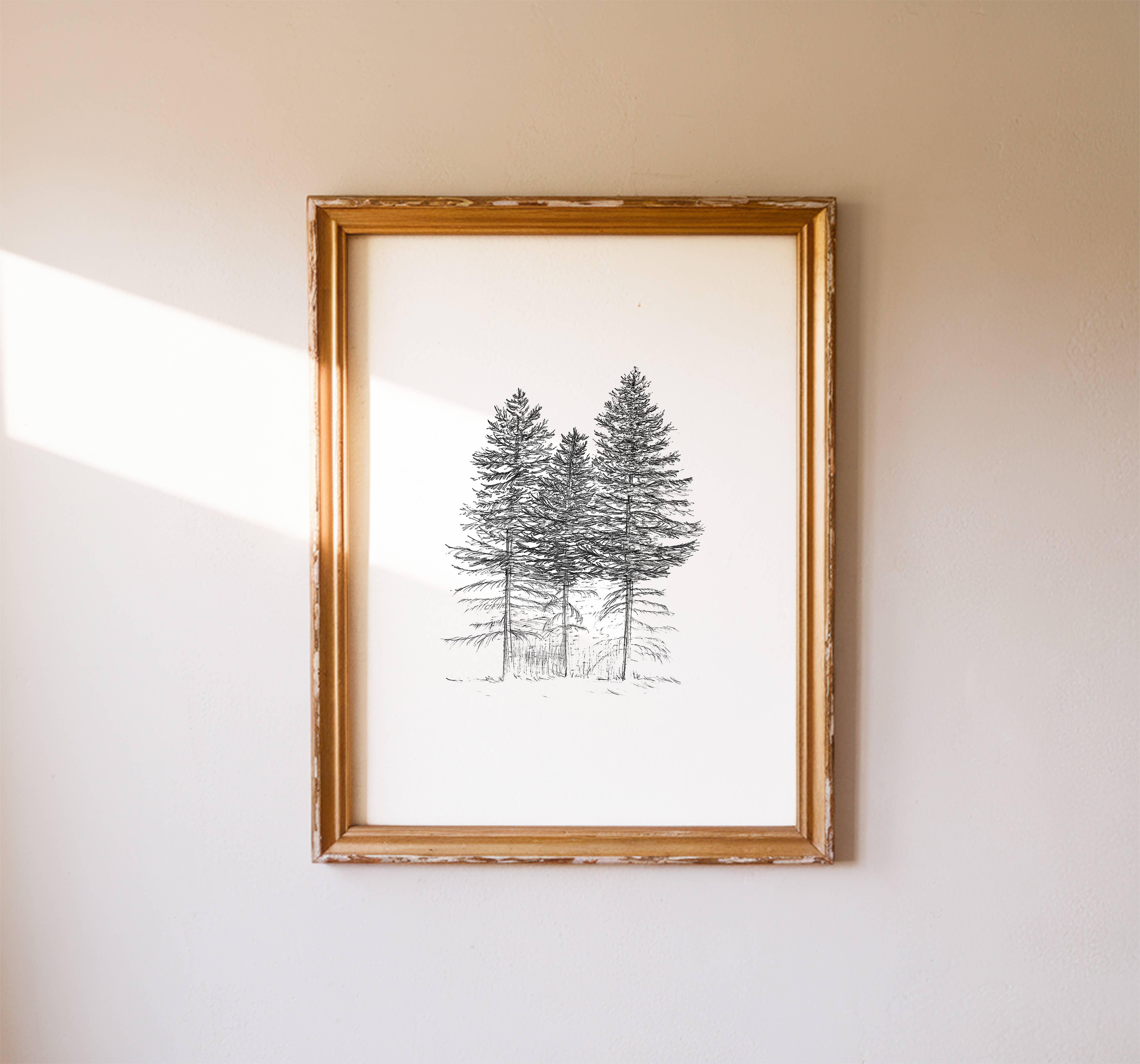 Vanee.ink - Wholesale Art Print - Noble Firs Print