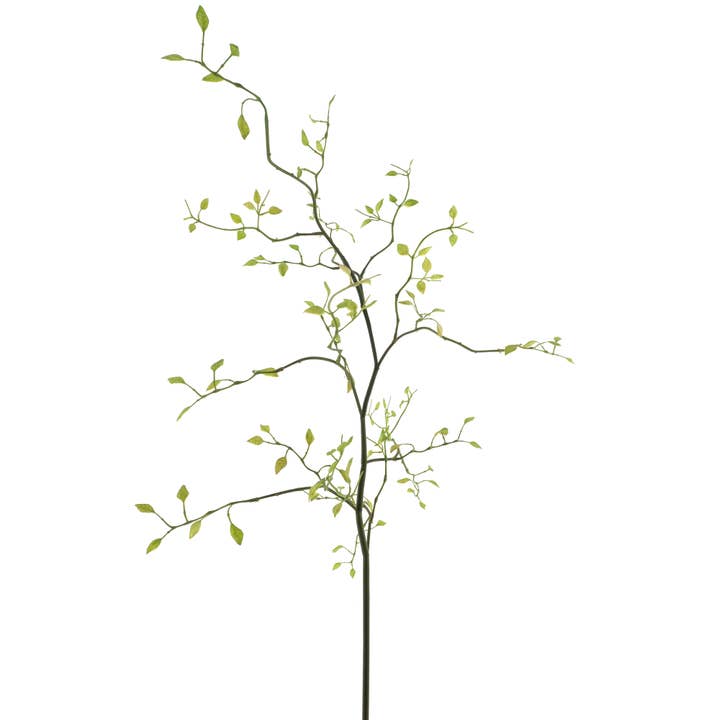 Caprifoglio, L96cm, Verde per la vendita all'ingrosso da parte di Vosteen