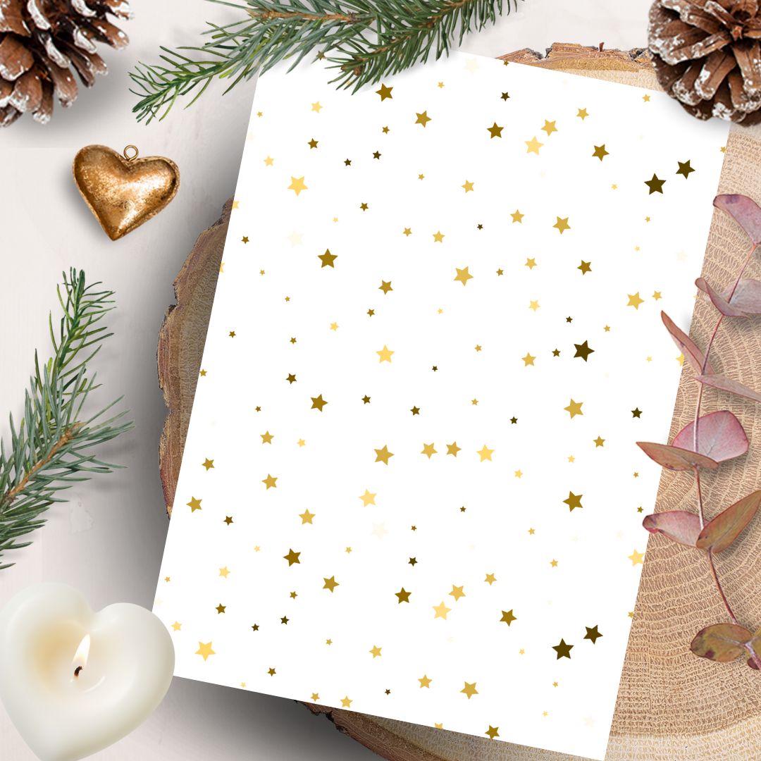 Les Moonettes – wholesale Kontorsmateriel/Notecard Set – 20 ifyllningsblad för läsning (10 exemplar av varje)3