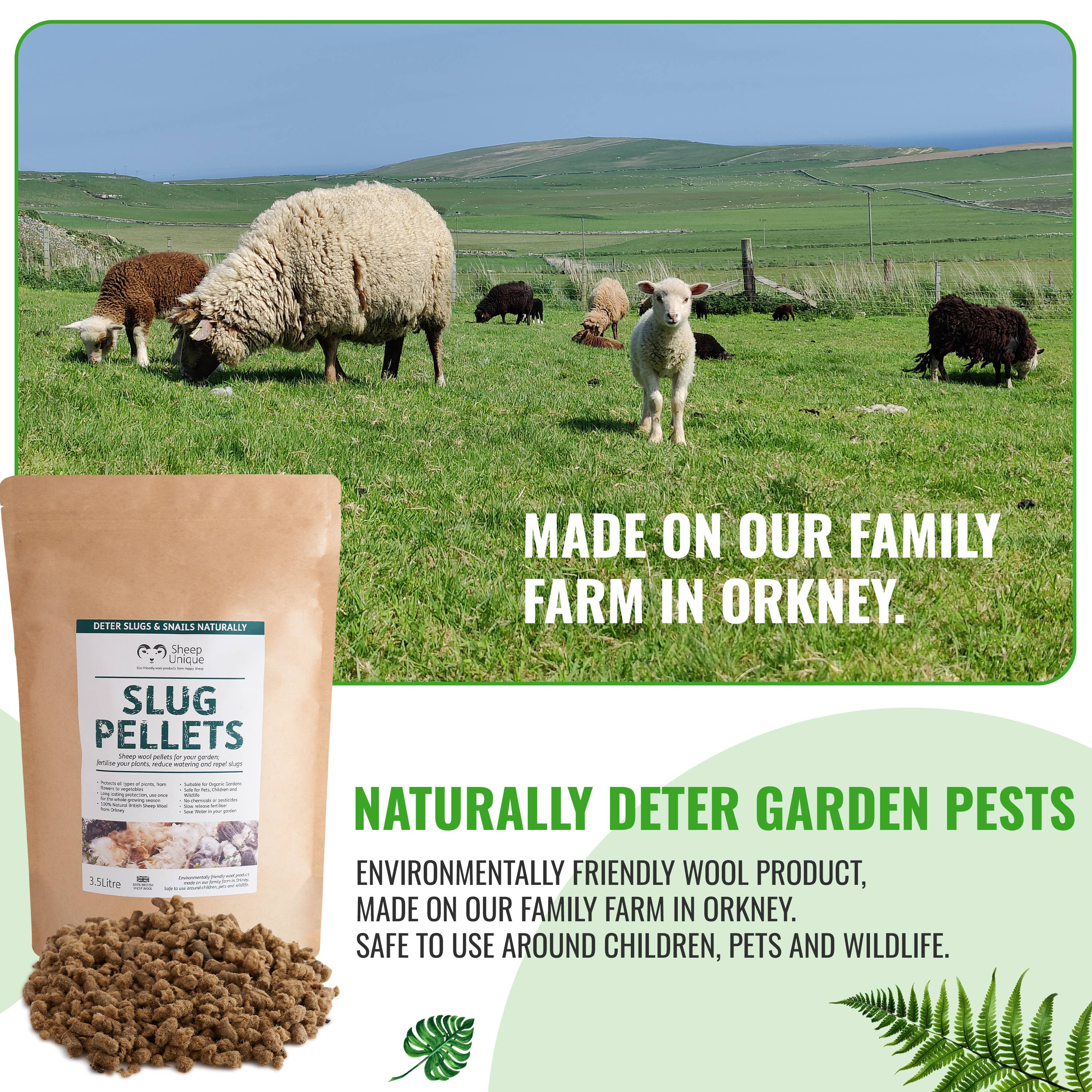 Sheep Unique - Wholesale Planting/potting soil - Slug Wool Pellets - 100% Wool, Pest Repellent, 3.5L / 7.3pts15