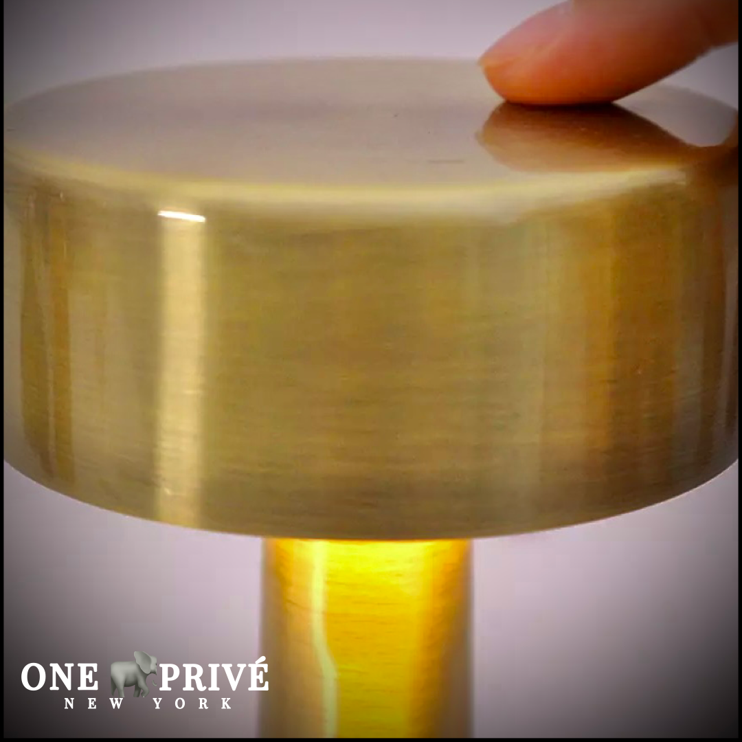 One Preevay Luxury Home Furniture & Decor - Vente Lampes d'appoint/de bureau - Lampe de Table Grace Hospitality - Commodité sans Fil - Rechargeable - Résistante à l'Eau2