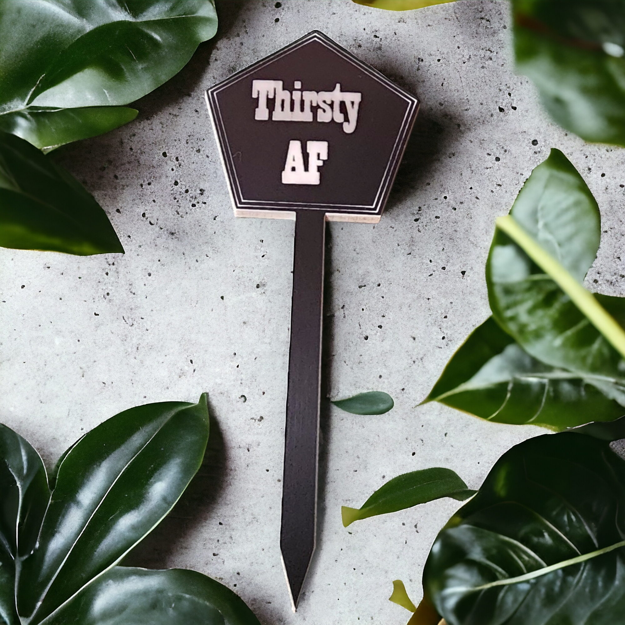 Olive Branch Laserworks - Wholesale Garden/Lawn Stake - Snarky Plant Stakes1