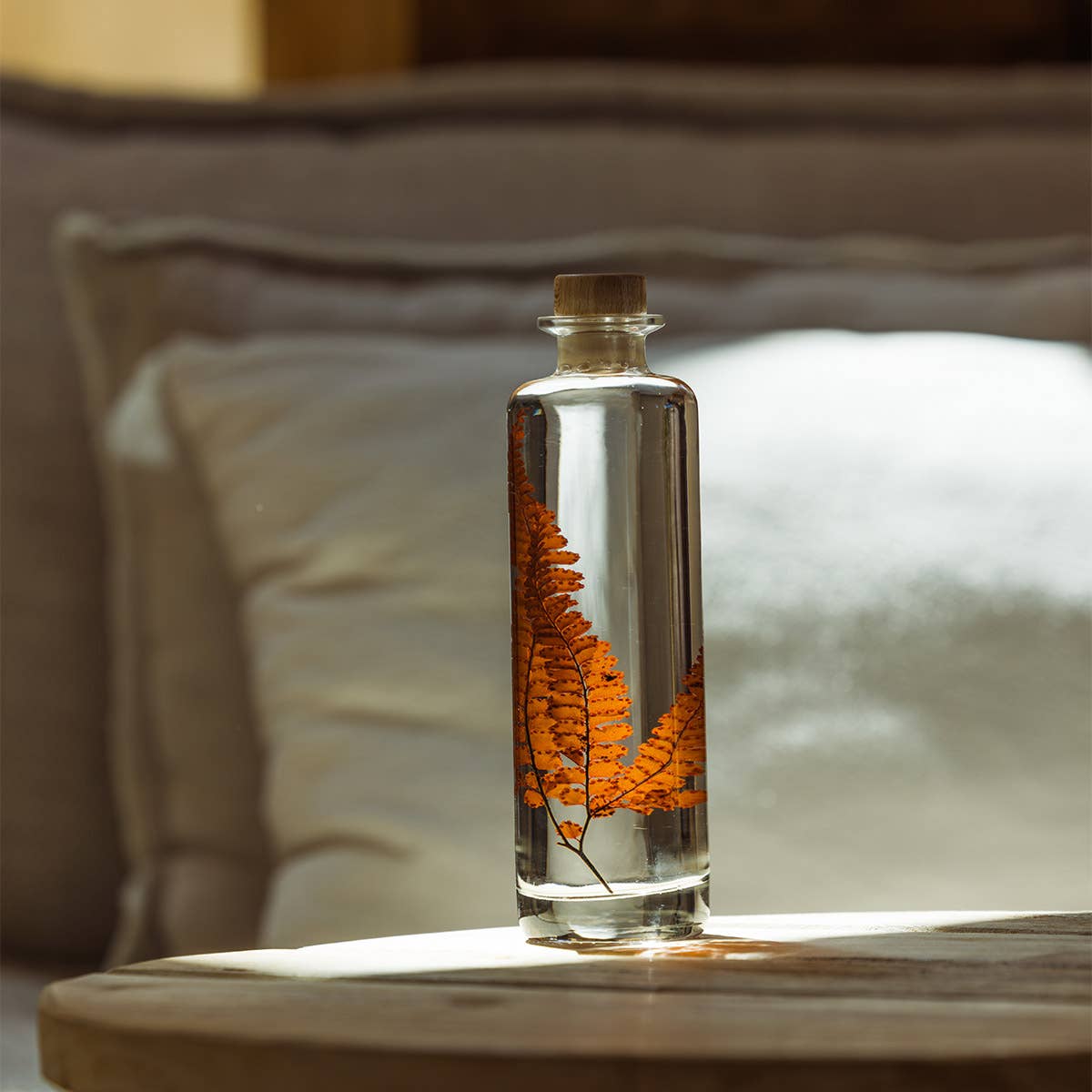 Theophile Berthon - Wholesale Live Plant - The Felci Red Fern Herbarium - submerged plant2