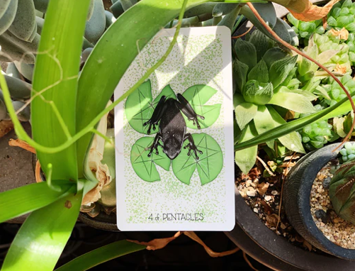 Everyday Magic - Venta al por mayor Cartas del tarot - Wayhome - Baraja de Tarot7