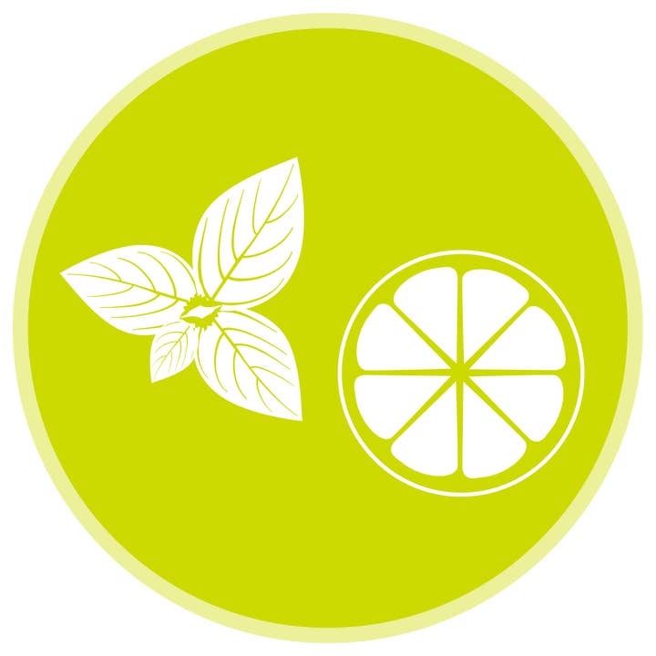 KAMPANERA - Wholesale Kombucha - Citrus and Basil Kombucha - natural tea drink3