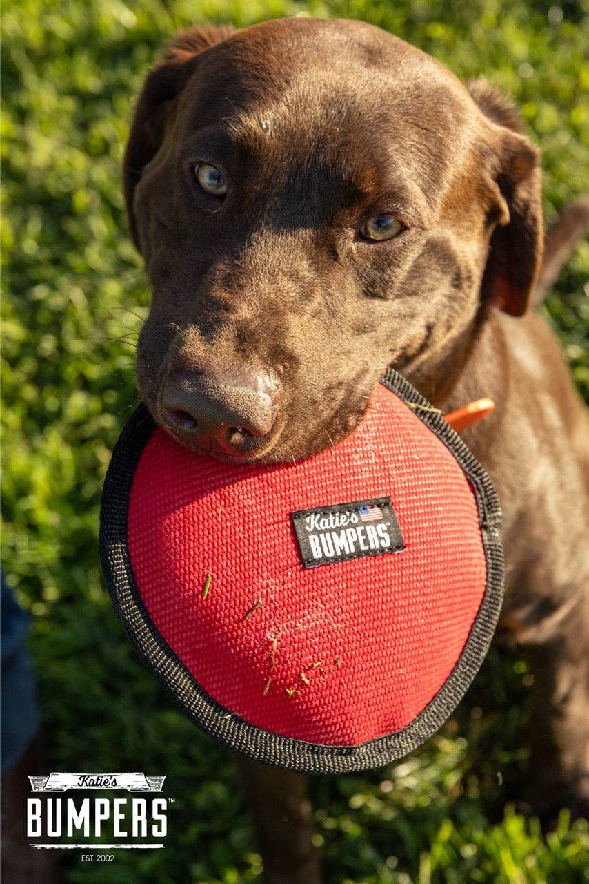 Katie's Bumpers - Wholesale Pet Fetch Ball - Dog - NEW!! KB Frequent Flyer Floater6