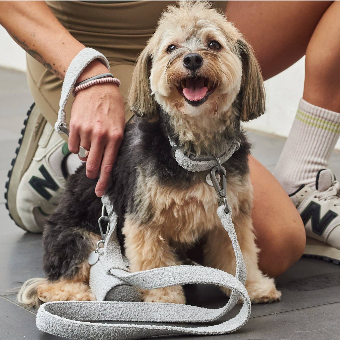 Lilly + Dash - Vente Laisse – chien - laisses4