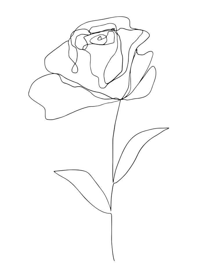 Monoline Rose für den Großhandel von Blossom & Bloom