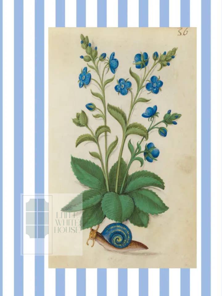 Blue & White Botanical Study, Giclee Print : STUDY 2 for wholesale by The Little White House
