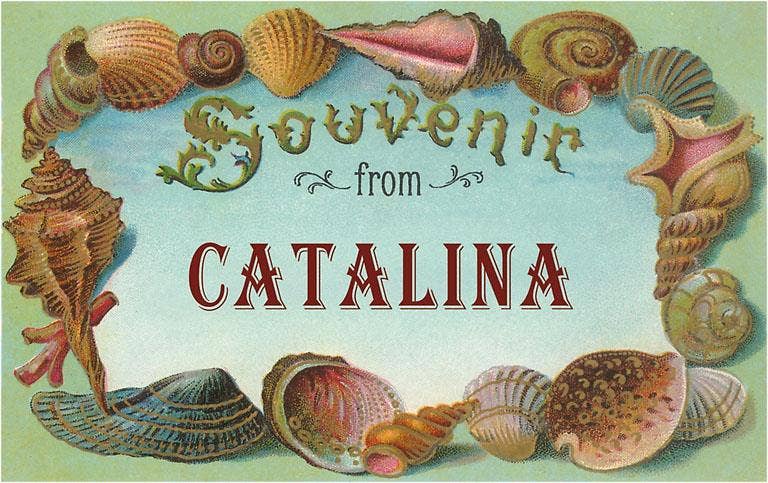 Found Image Press – wholesale Postcard – Postcard CA-939 Shell Border Souvenir from Catalina, Califor0