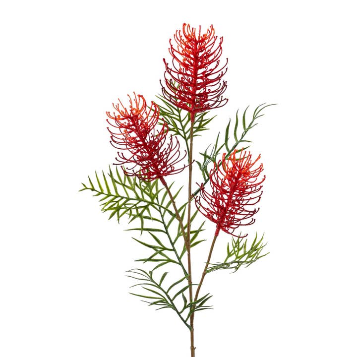 Branche de Grevillea, 83 cm, rouge pour la vente par GASPER GmbH