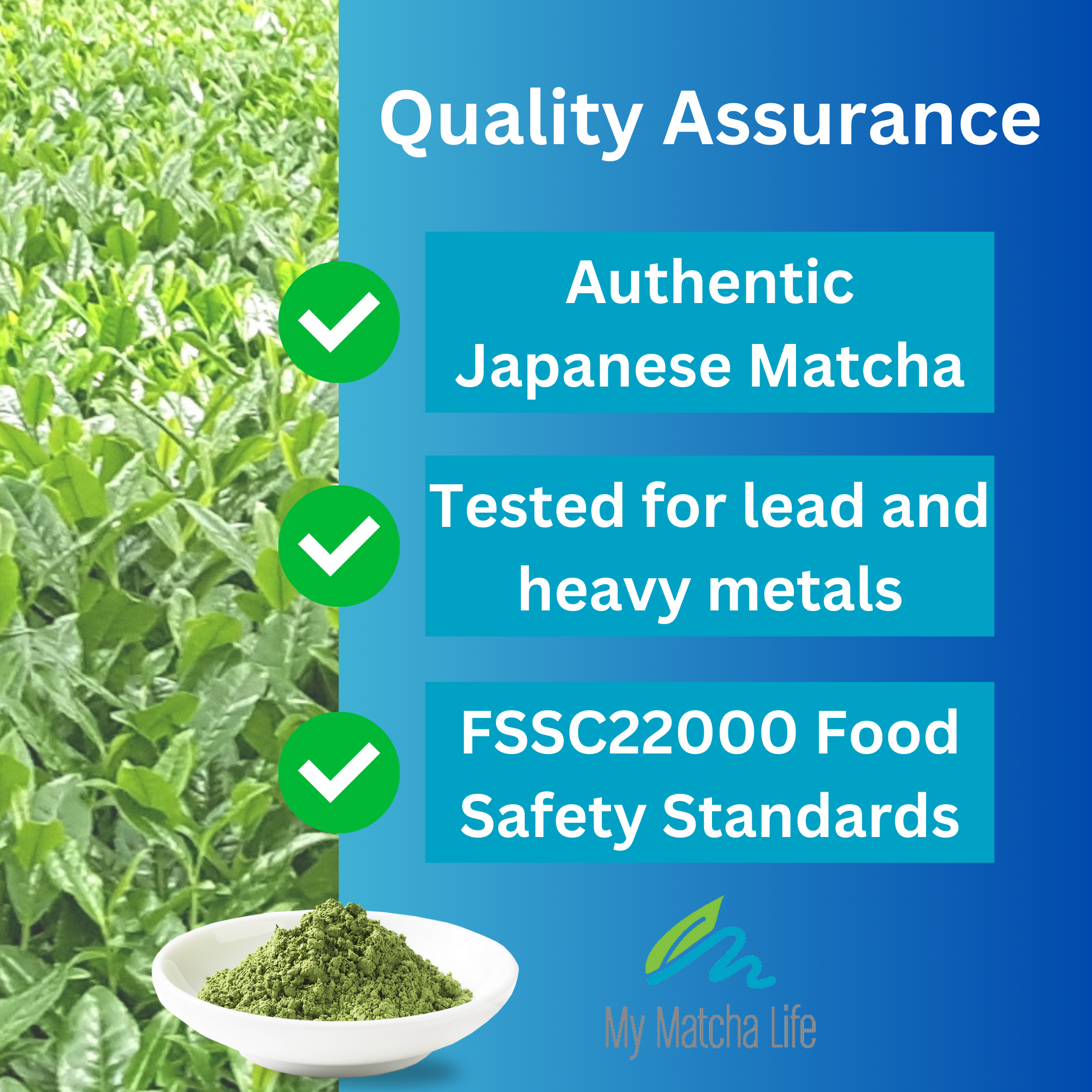 My Matcha Life Products Inc. - Wholesale Health/Detox Tea - Barista's Premium Matcha Latte - Vanilla2