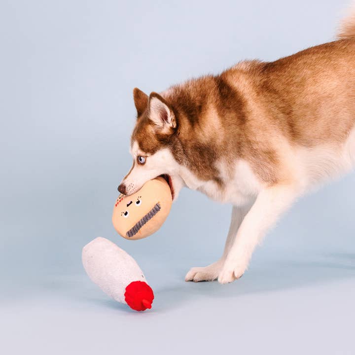 Petshop by Fringe Studio - Wholesale Pet Toy Set - Dog - BURN BABY BURN 2 PIECE DOG TOY SET