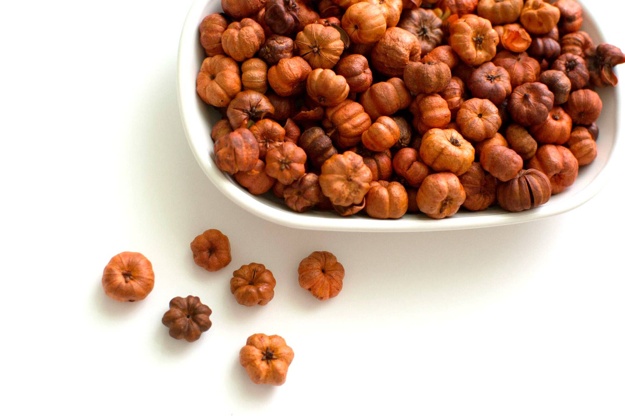 Oily Blends - Wholesale Potpourri - Fall Mini Pumpkin Potpourri Packs5