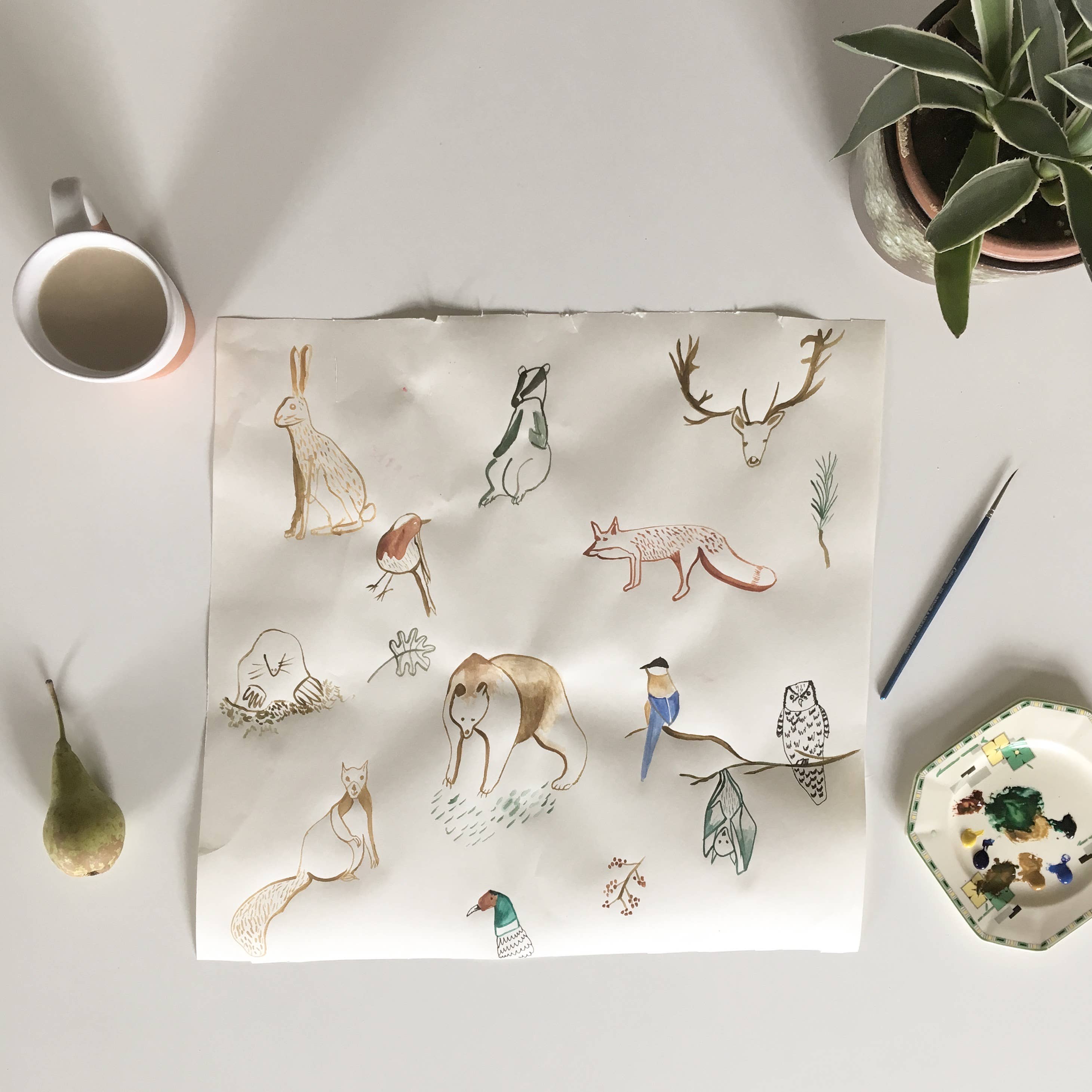 dear prudence - Wholesale Gewone wenskaart - Animal Kingdom Card1